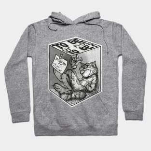 Schrödinger's Cat Hoodie